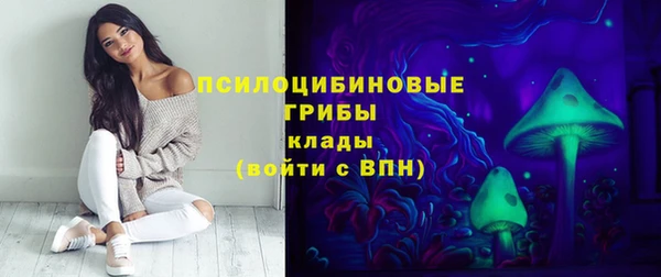 стаф Ростов