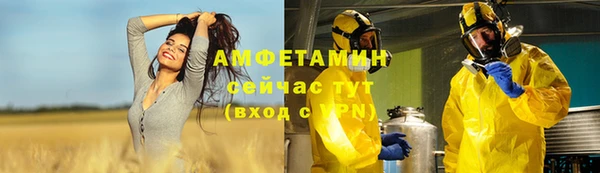 стаф Ростов