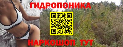 первитин Камышлов