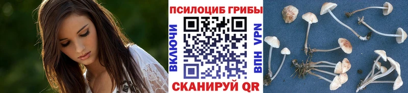 Псилоцибиновые грибы Psilocybine cubensis закладка Тобольск