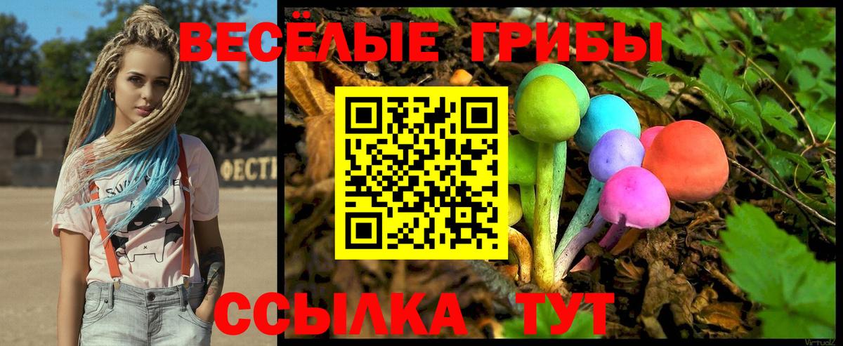 Галлюциногенные грибы MAGIC MUSHROOMS  Псилоцибиновые грибы прущие грибы  Тобольск  Вход с VPN 